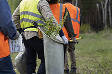 Chantier nature